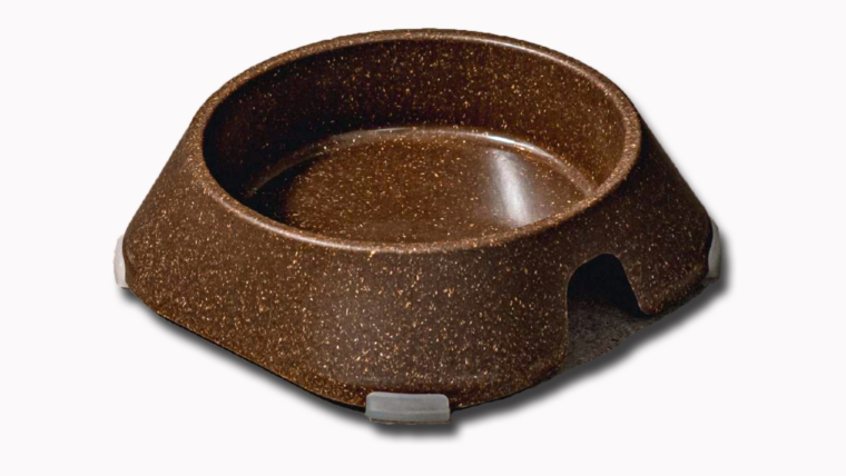 Jak wybrać odpowiednią miskę dla swojego psa